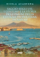 Saggio sugli usi, i costumi e la storia dei comuni della città metropolitana di Napoli